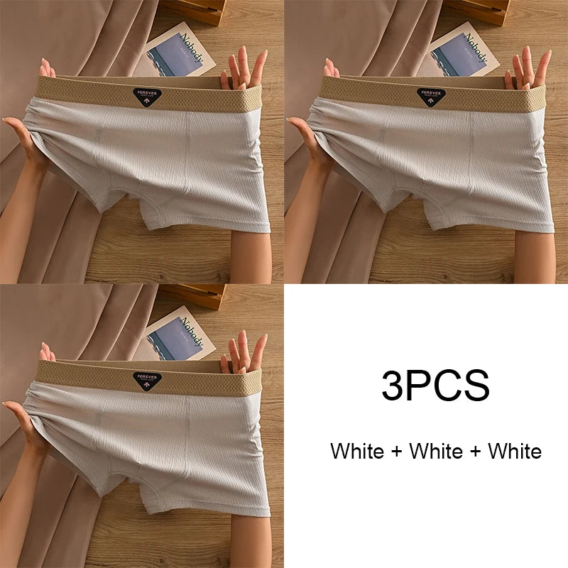 Mens Sexy Underwear for Men Man Boxers Underwear Boxer Male Men's Underpants Men Cotton Panties Shorts Briefs Unerderwear Slip