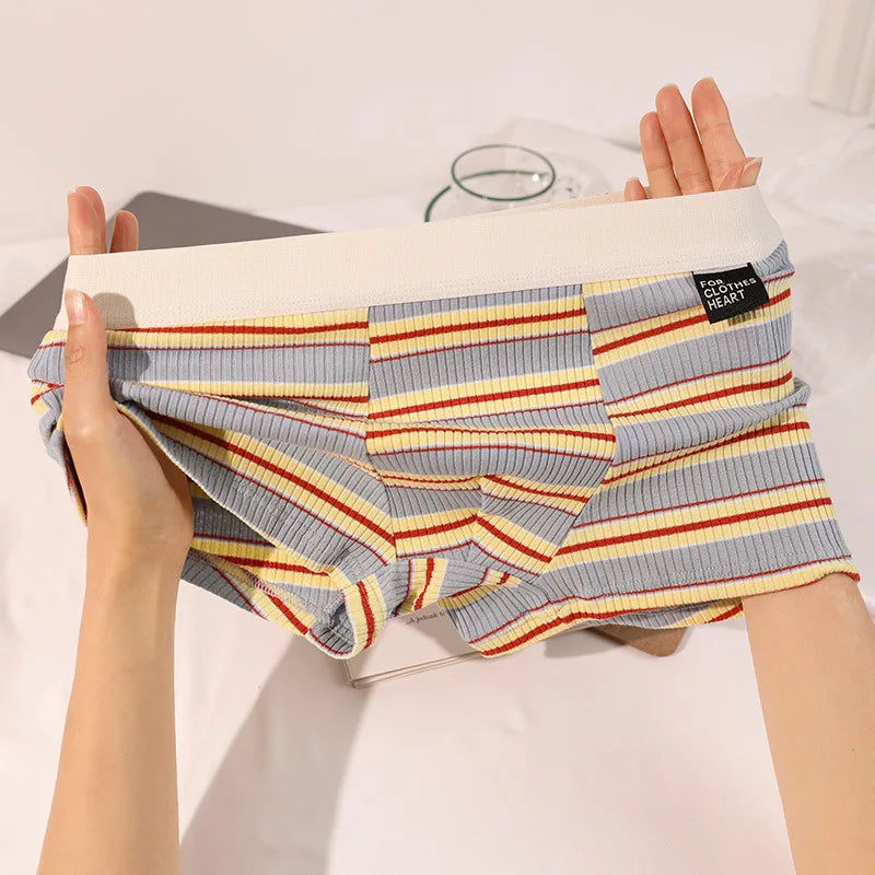 Men's Plus Size Cotton Boxer Briefs with Stripes