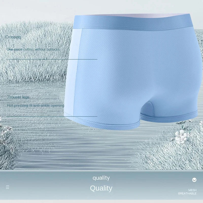 Men's Ice Silk Boxer Shorts Plus Size L-6XL